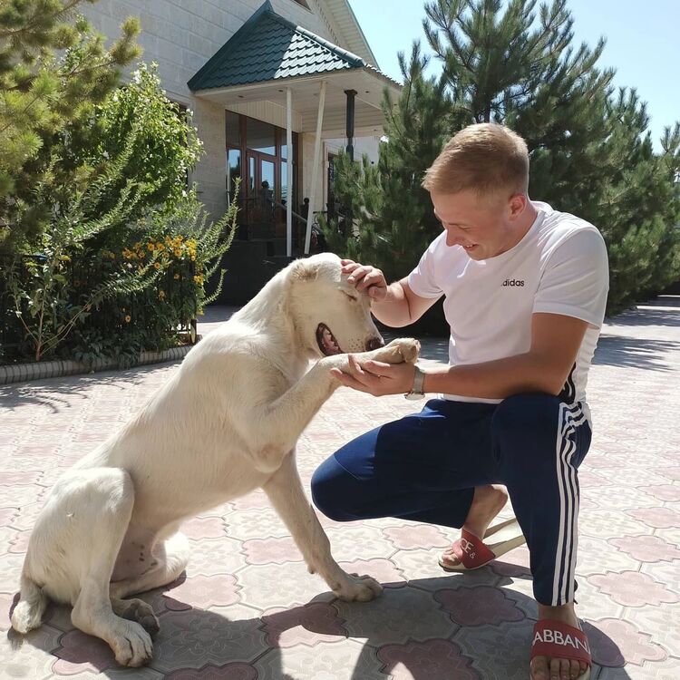 ���� 29452546 ������� ����, 29 ���, ���� ���������� � ��������