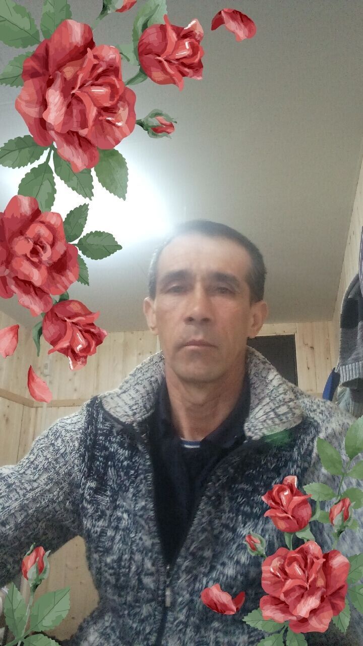  37159186  , 52 ,    