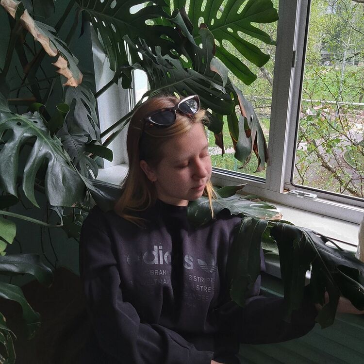 ���������� �����-���������, ���� ������� ������, 23 ����, ������������ ��� ������, ����� � ���������