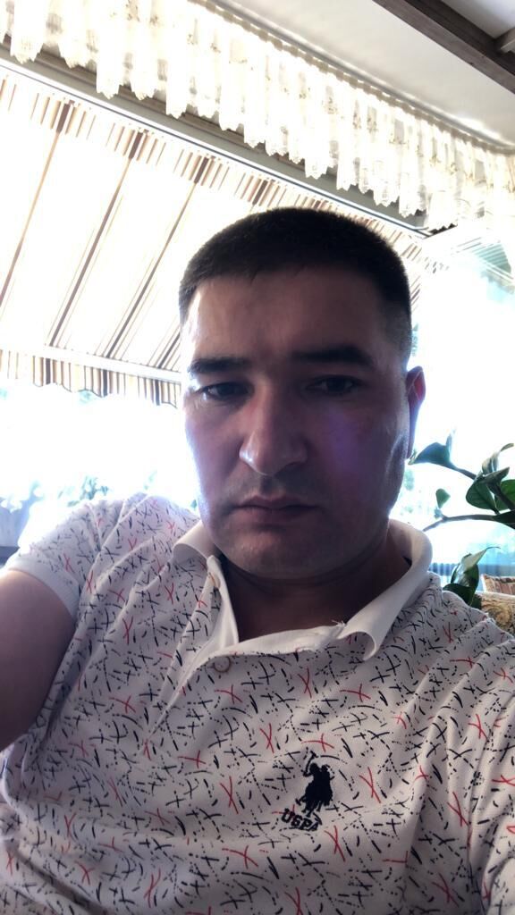  29305446  Sher, 41 ,    