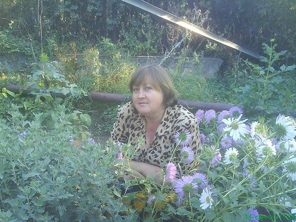  ,   , 66 ,   ,   