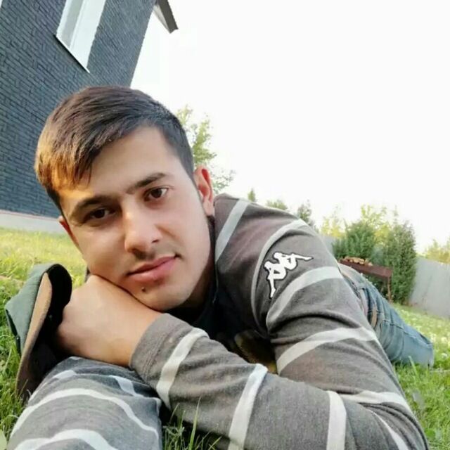 ���� 43033356 ������� ����, 29 ���, ���� ���������� � ������