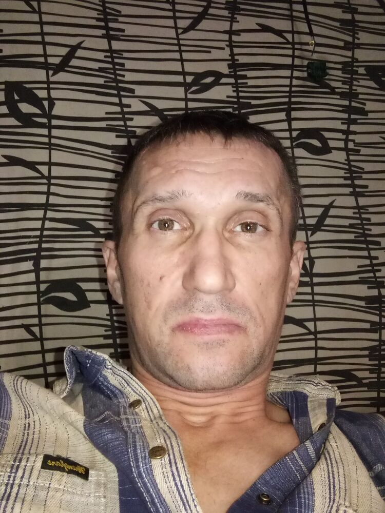  40319086  , 44 ,    