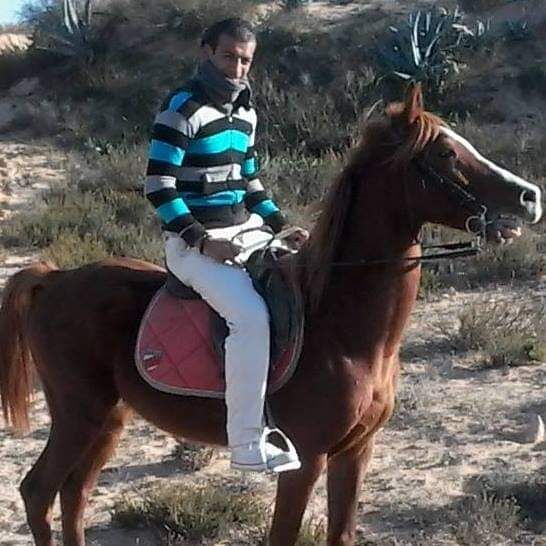 ���������� �����, ���� ������� Sabel, 35 ���, ������������ ��� ������, ����� � ���������