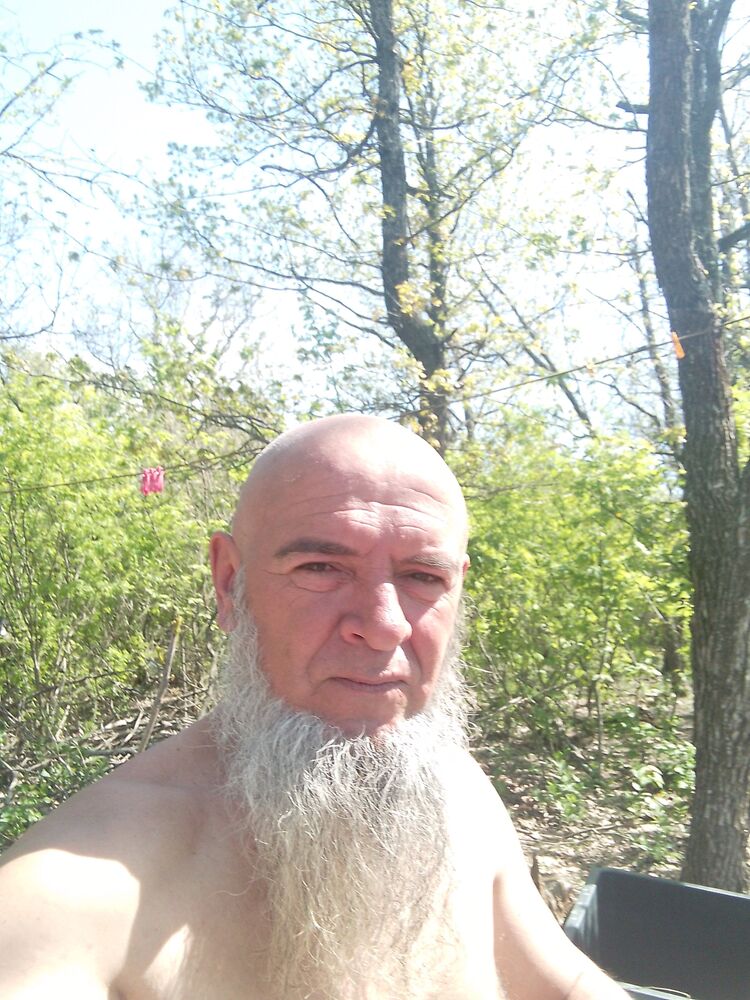  53597846  , 49 ,    -