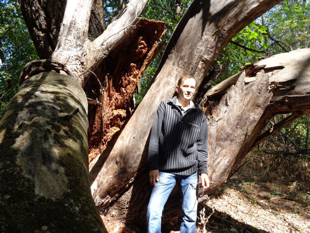 ���� 24214986 ������� ���, 52 ����, ���� ���������� � ����������