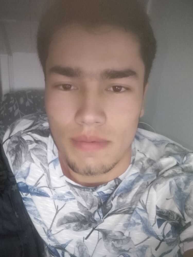  33350256  , 24 ,    
