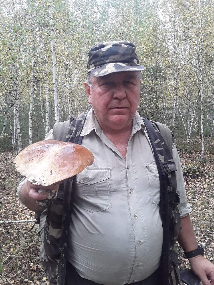  ,   , 62 ,   ,   
