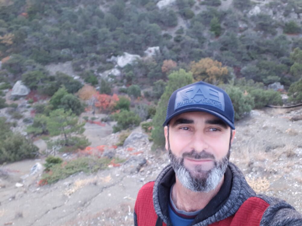 ���� 39285756 ������� �������, 43 ����, ���� ���������� � �����������