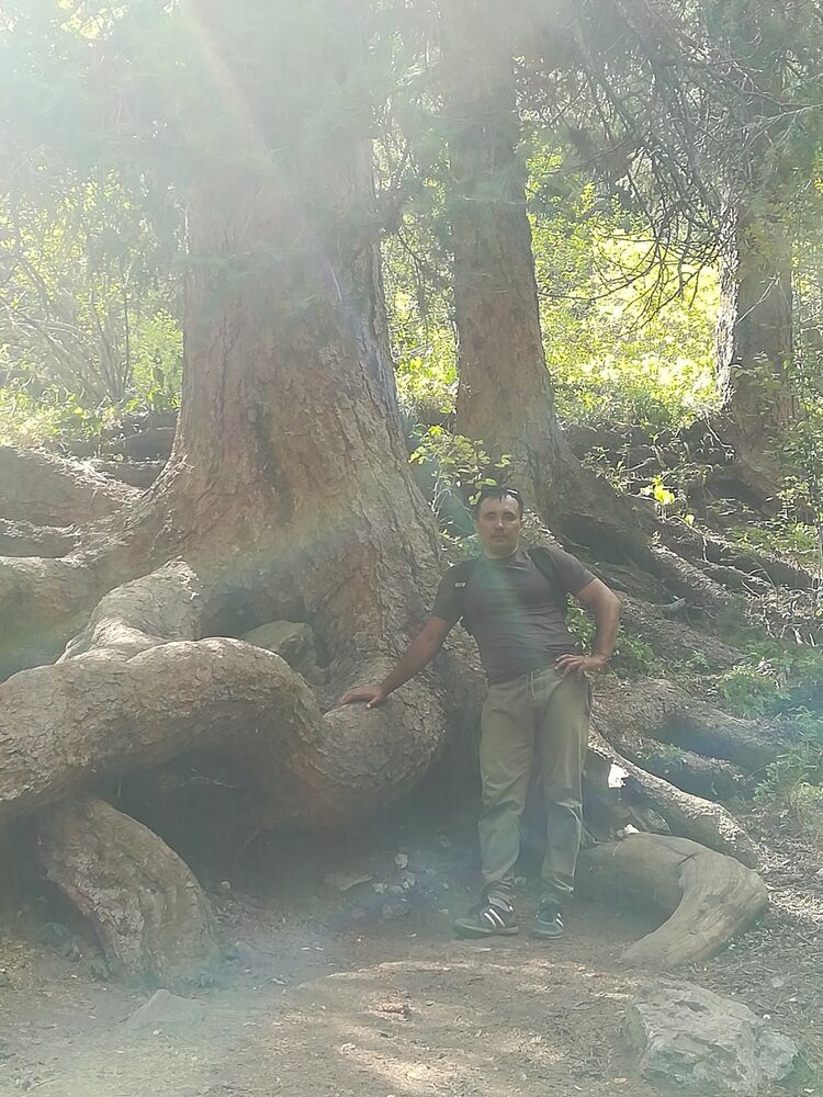 ���������� ������, ���� ������� �������, 41 ���, ������������ ��� ������, ����� � ���������, c�������� ���������