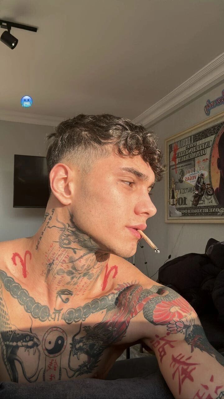  43856366  , 22 ,    