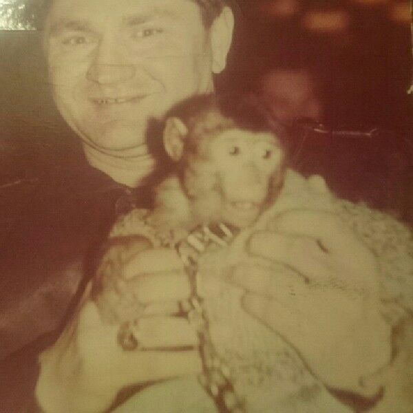 ���������� ������, ���� ������� ����, 62 ����, ������������ ��� ������, ����� � ���������, c�������� ���������