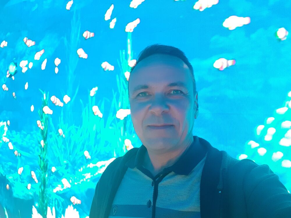  54186566  , 47 ,    -