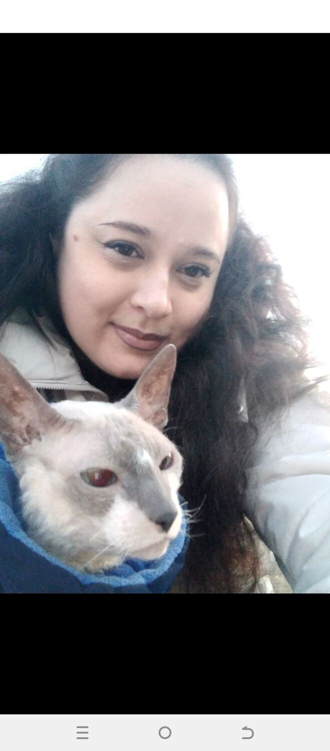 ���������� �����-���������, ���� ������� Viktoria, 42 ����, ������������ ��� c�������� ���������