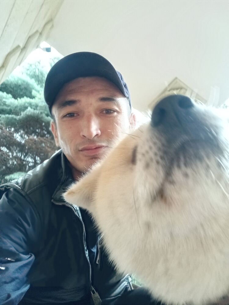 ���� 43511776 ������� Kuds, 38 ���, ���� ���������� � ������