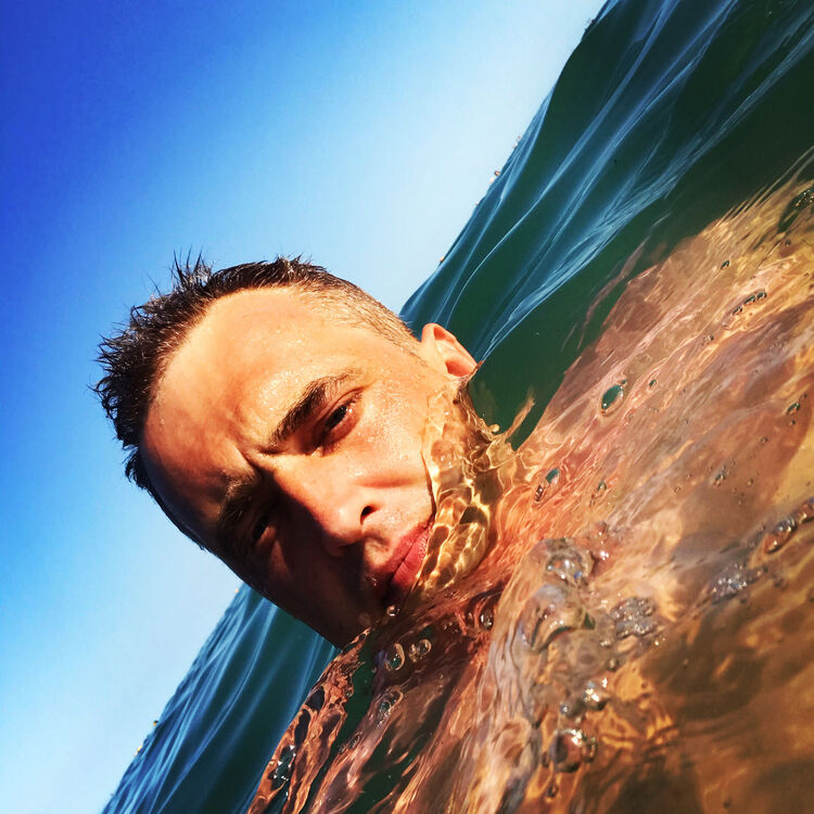 ���� 38396106 ������� �������, 43 ����, ���� ���������� � ������