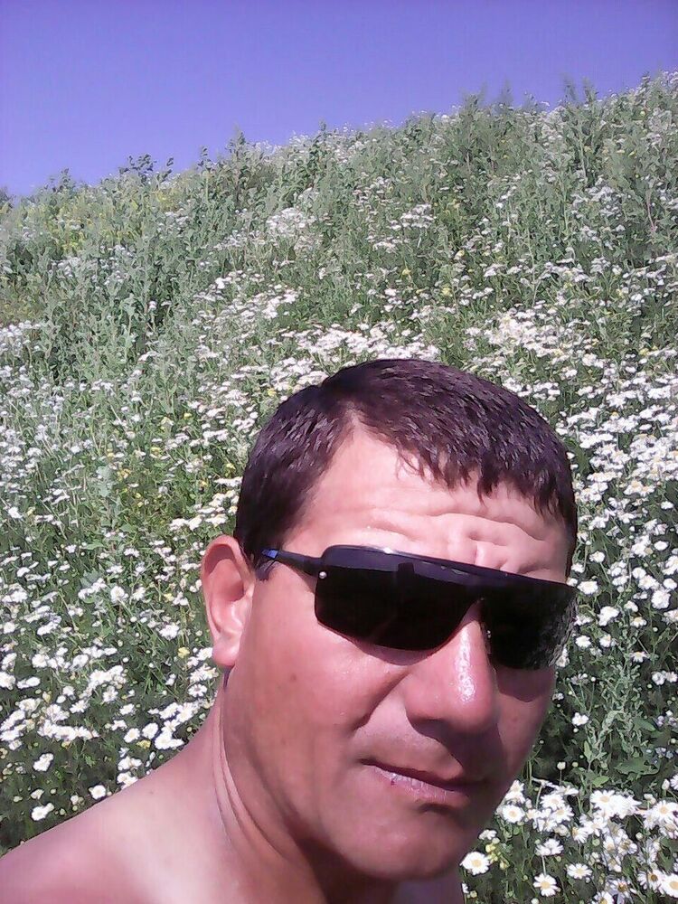 ���������� �����-���������, ���� ������� �����, 50 ���, ������������ ��� ������, ����� � ���������, c�������� ���������