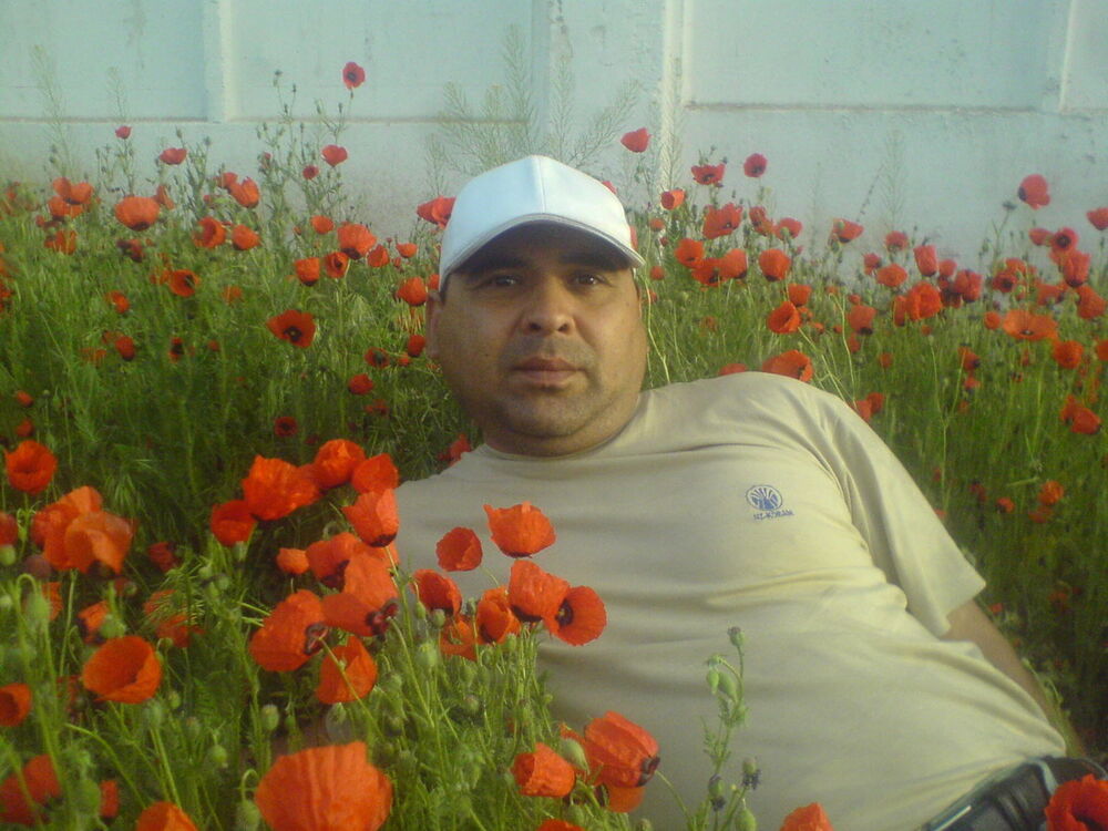  4122566  Sardor, 55 ,    