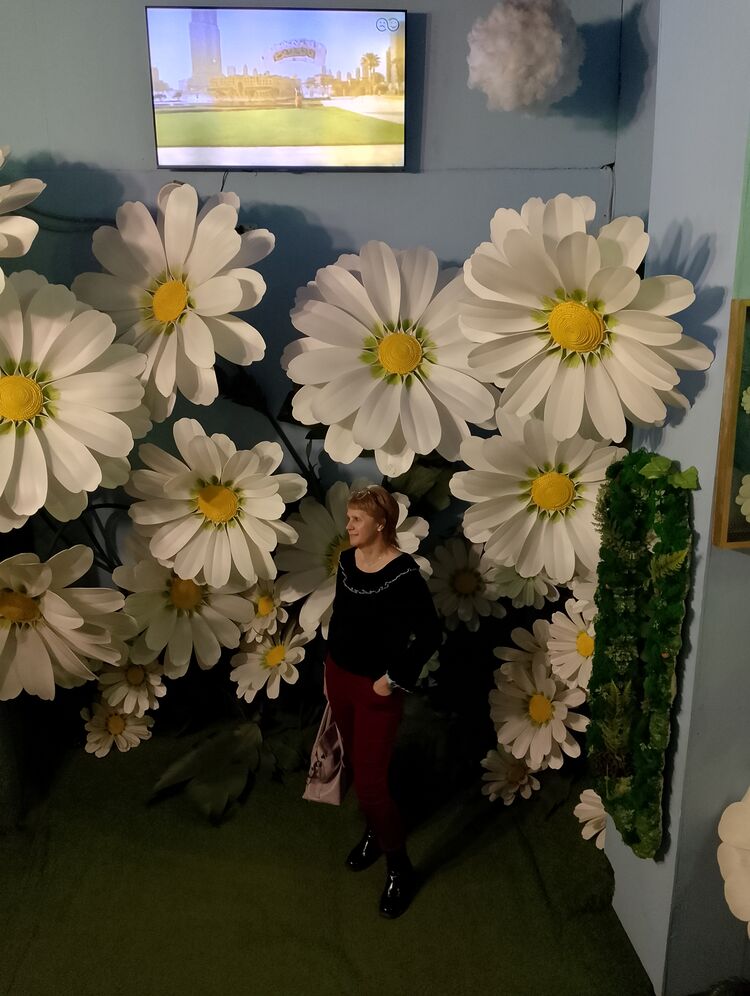  53607176  , 50 ,    -