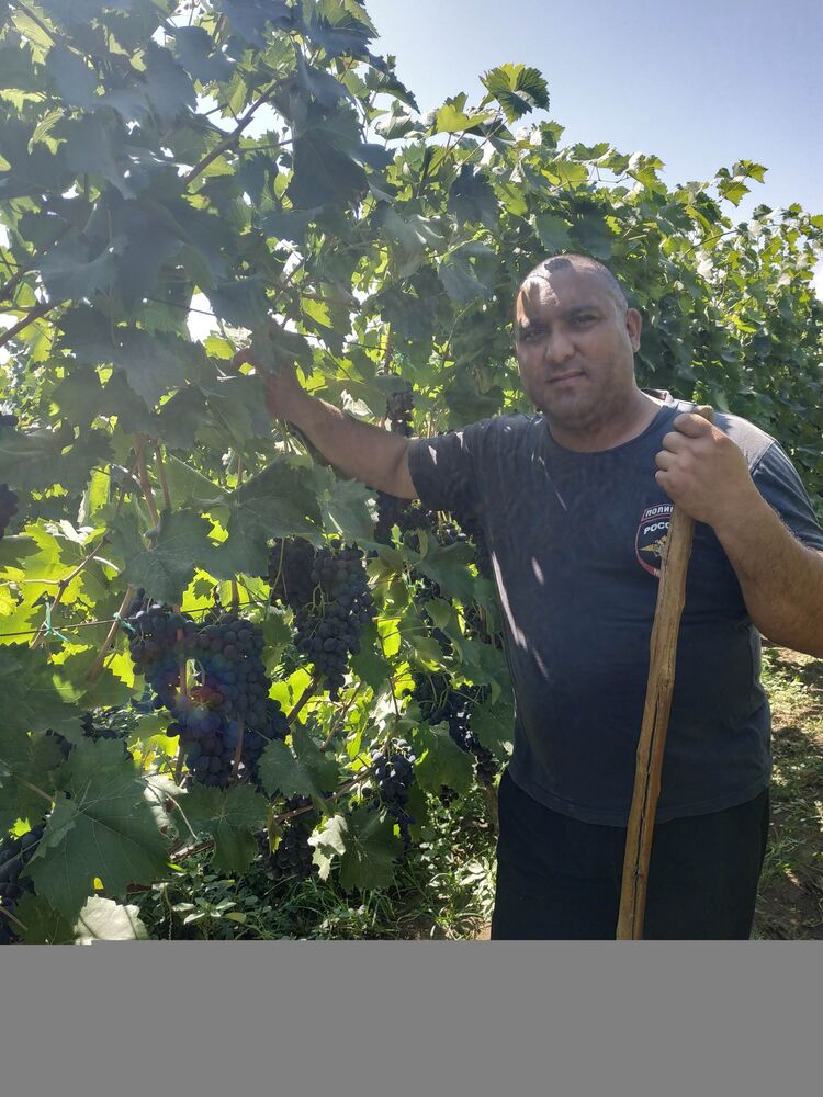 ���������� ������, ���� ������� ������, 44 ����, ������������ ��� ������, ����� � ���������