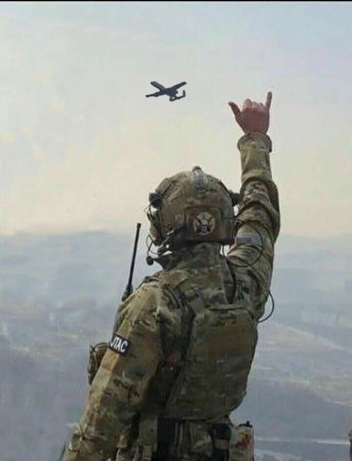  28740626  Gutsy, 23 ,    