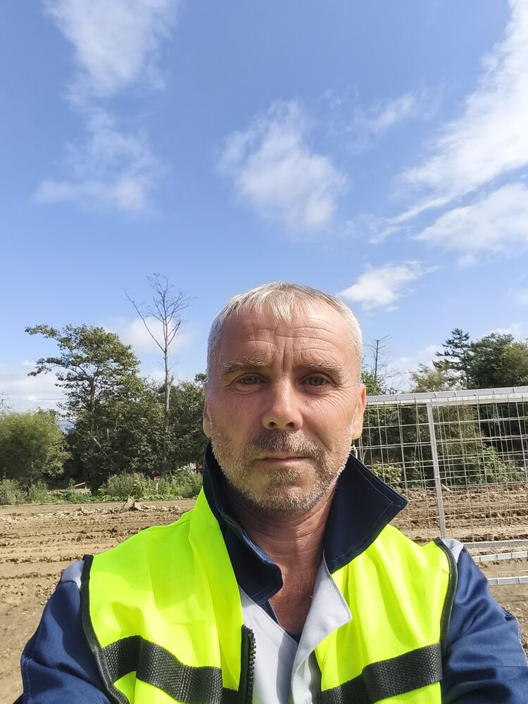 ���� 55656096 ������� Ը���, 50 ���, ���� ���������� � ���