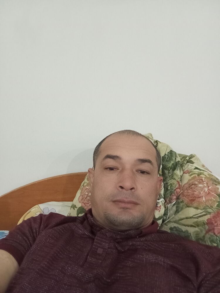  47231666  , 38 ,    