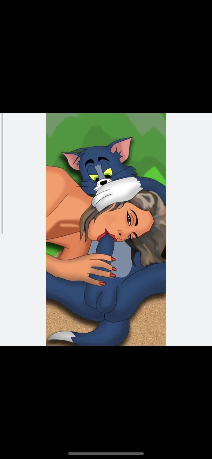 ���������� ������������, ���� ����� Qusay, 2 ����, ������������ ��� ������, ����� � ���������