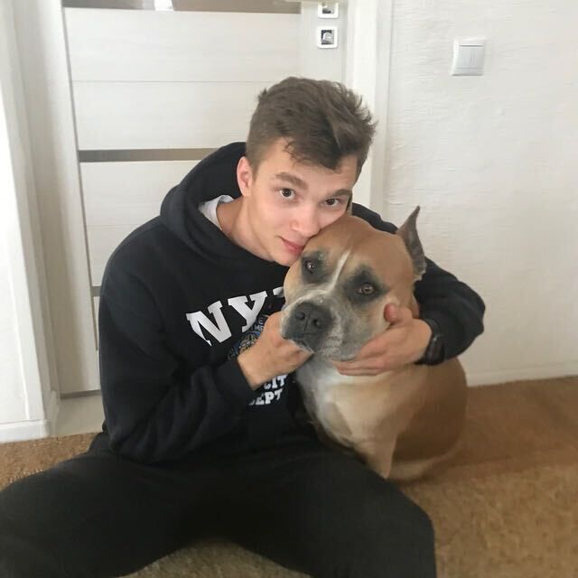 ���� 30866006 ����� �����, 24 ����, ���� ���������� � ������