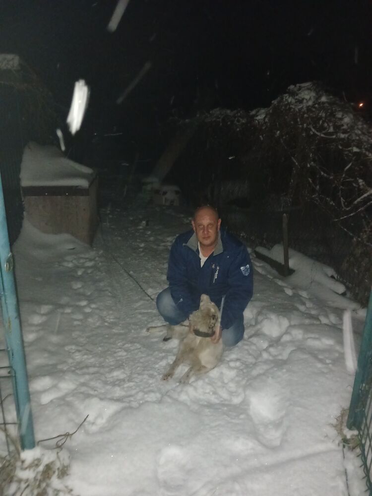 ���������� �����������, ���� ������� �����, 44 ����, ������������ ��� ������, ����� � ���������, c�������� ���������