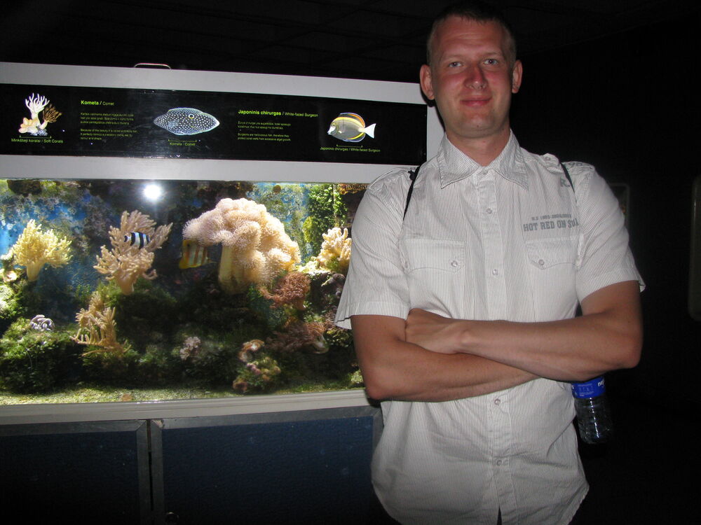  ,   Martis, 41 ,   ,   