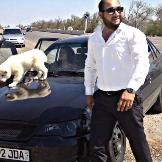 ���� 34296176 ������� �������, 38 ���, ���� ���������� � ��������