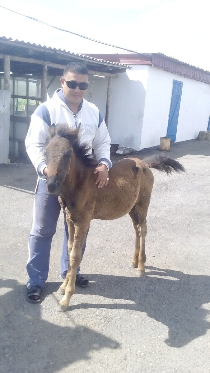  19167416  Arman ara, 35 ,    