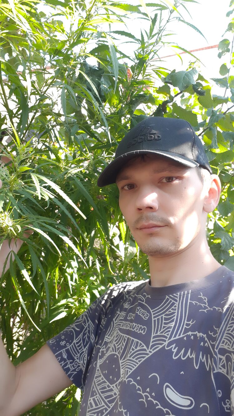  ,   , 34 ,   ,   , c , 