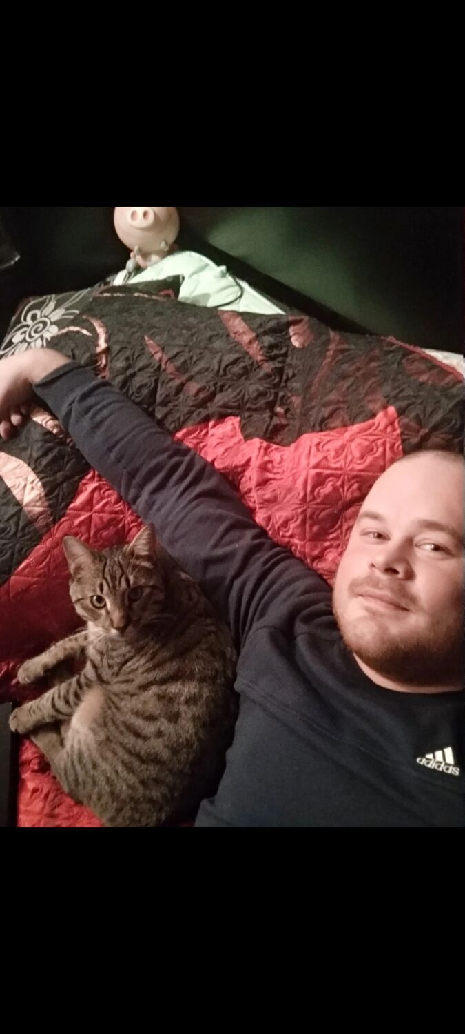 ���������� ������, ���� ������� ������, 36 ���, ������������ ��� ������, ����� � ���������, c�������� ���������