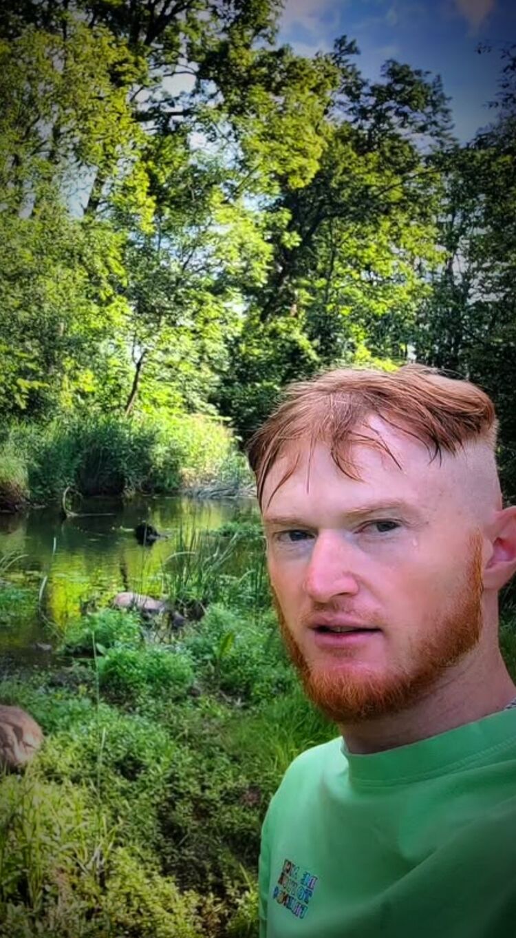  54315306  Pavel, 33 ,    