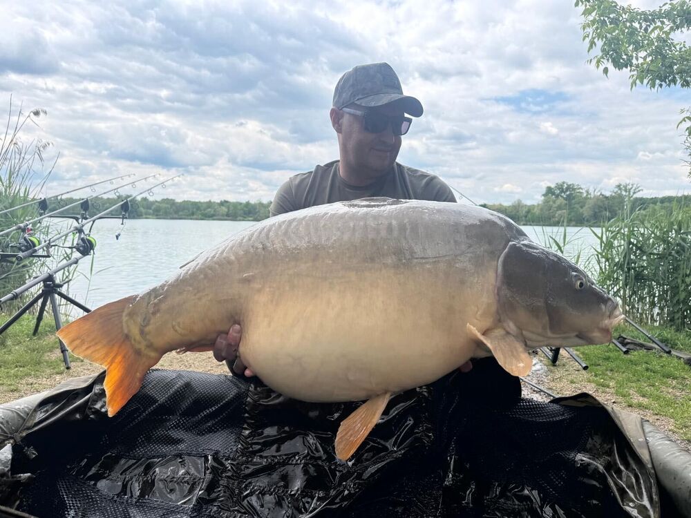 ���������� �����������, ���� ������� ����, 43 ����, ������������ ��� ������, ����� � ���������, c�������� ���������