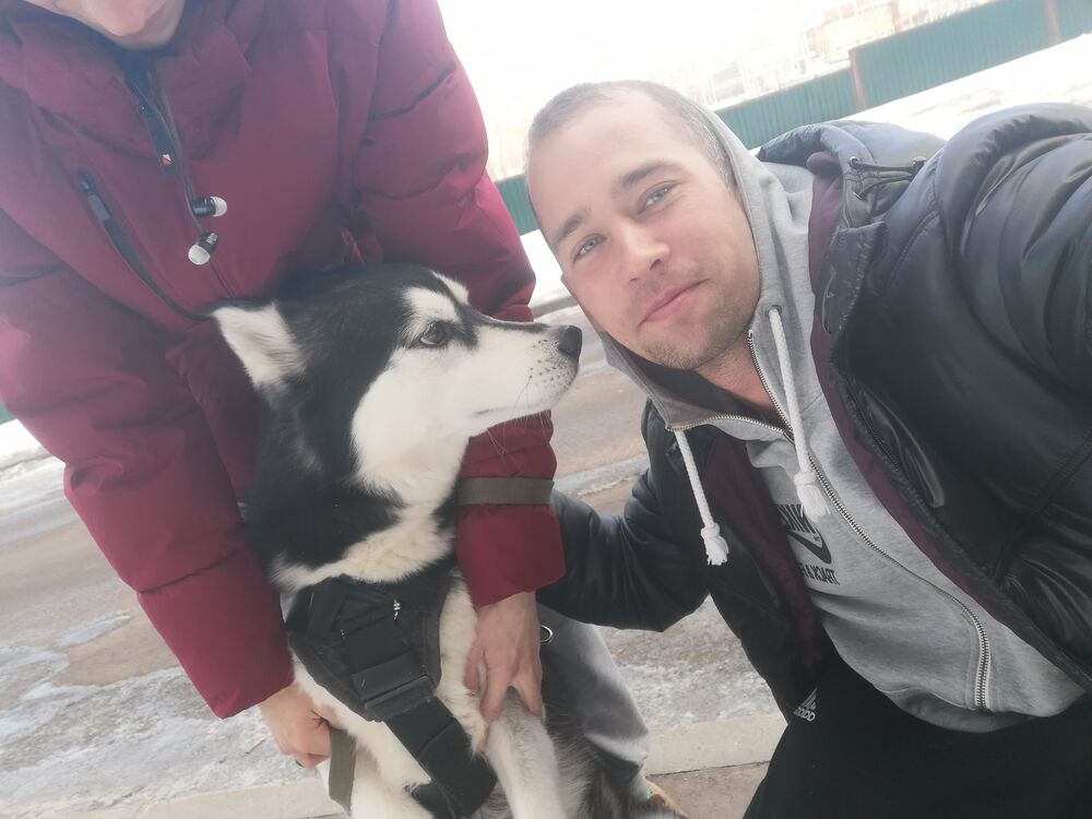 ���� 30635596 ������� �����, 36 ���, ���� ���������� � ������������