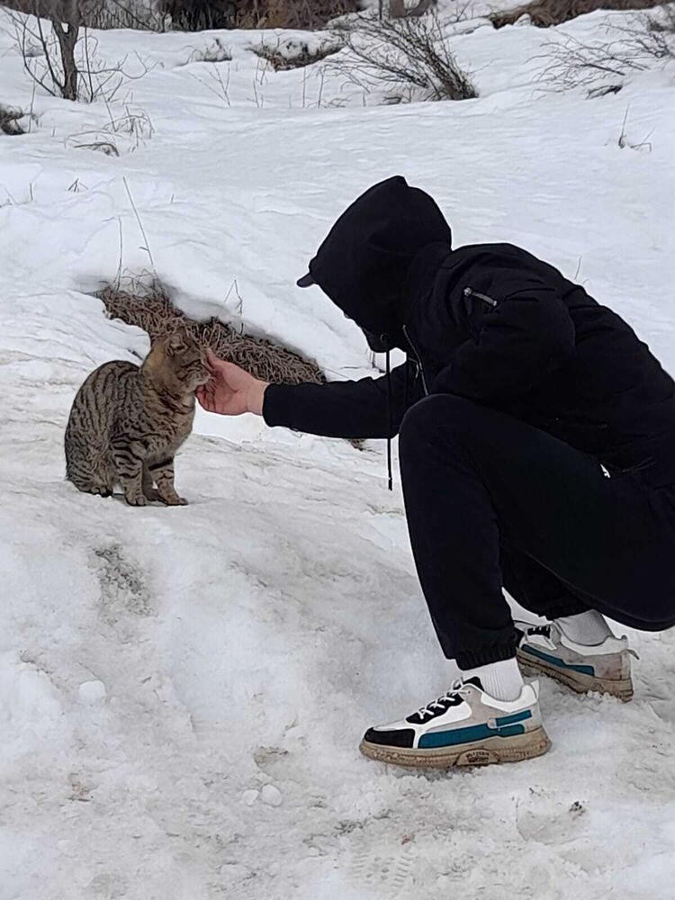  43297596  Timur, 34 ,    