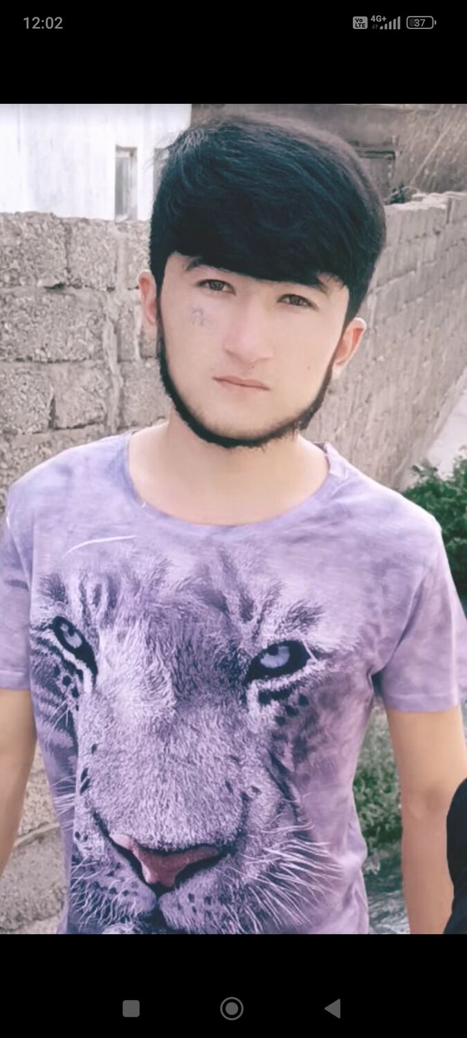 ���� 52214116 ����� ��������, 24 ����, ���� ���������� � ��������