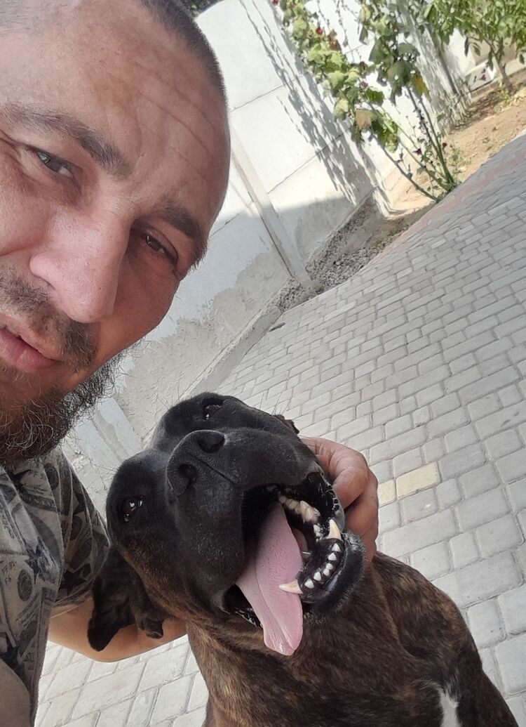  46122026  Basil, 40 ,    