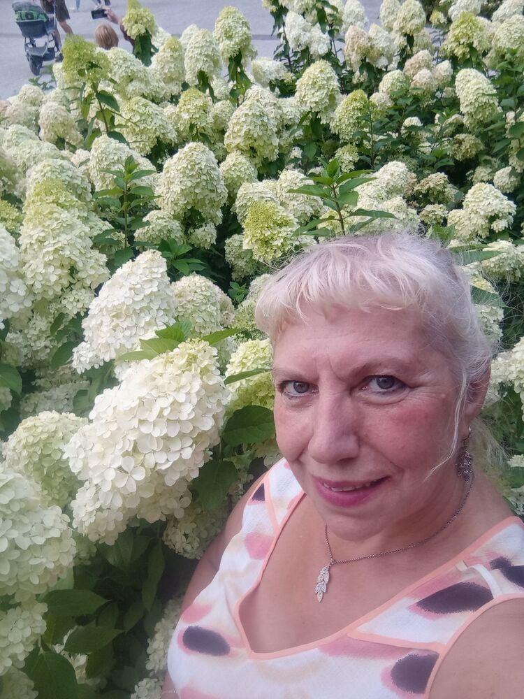  ,   , 62 ,     , 