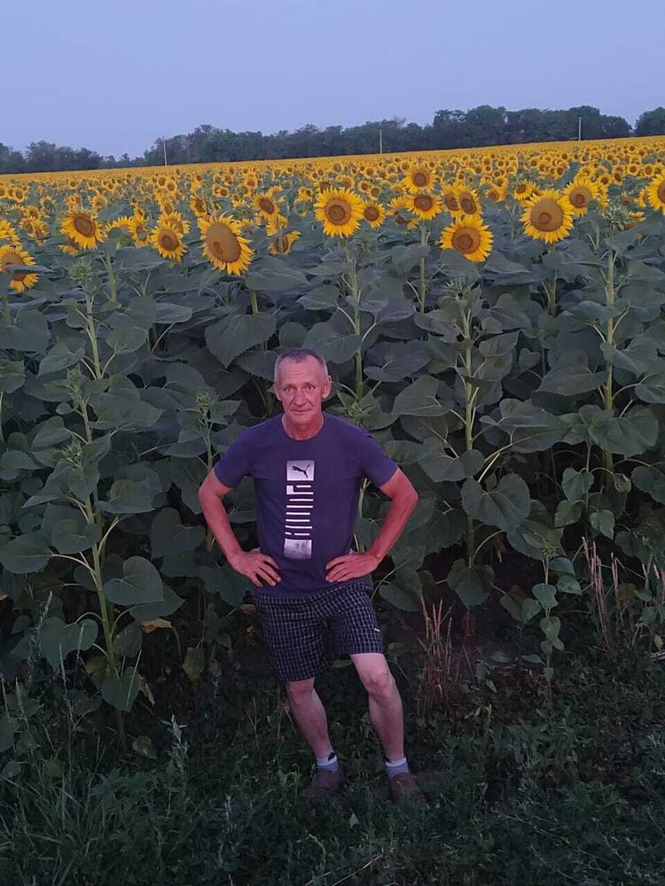 45052386  , 56 ,    