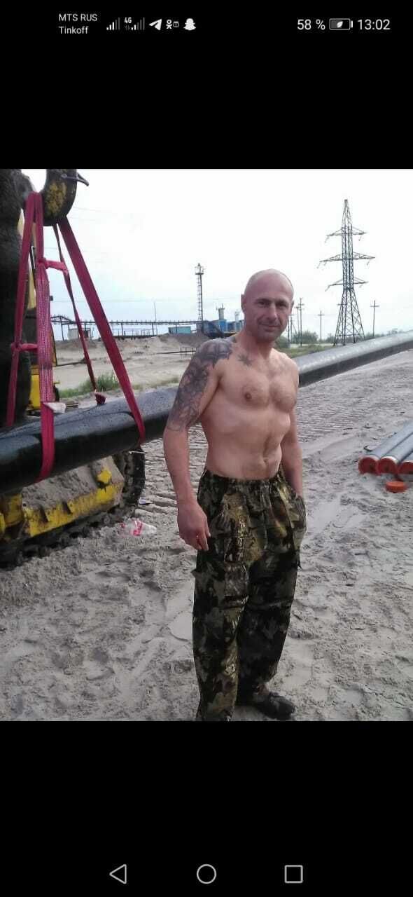  43913546  , 51 ,    