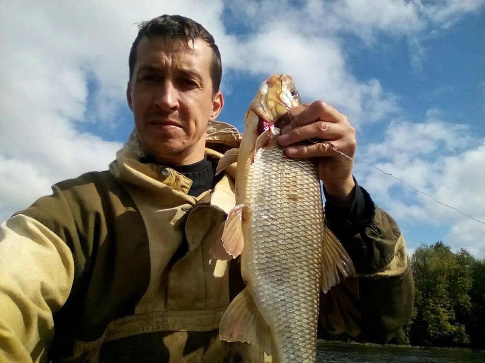 ���������� �����������, ���� ������� ���, 48 ���, ������������ ��� ����� � ���������, c�������� ���������