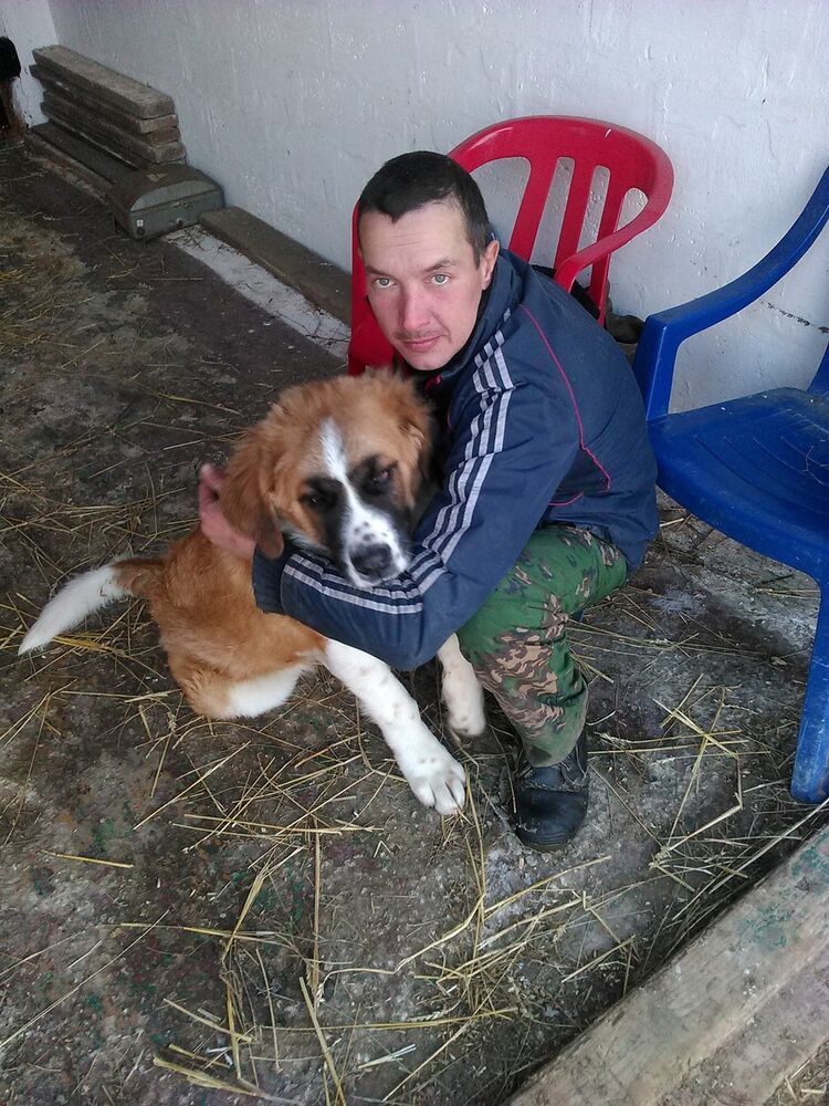 ���� 8937426 ������� ����, 41 ���, ���� ���������� � ������