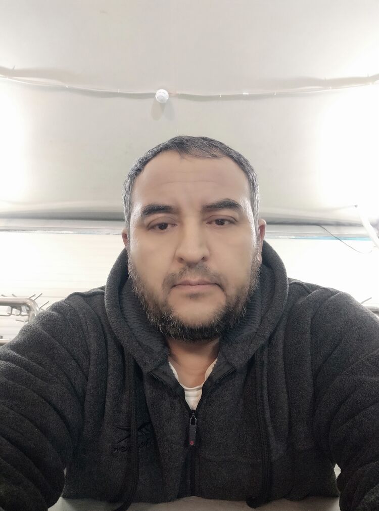  31800286  , 50 ,    