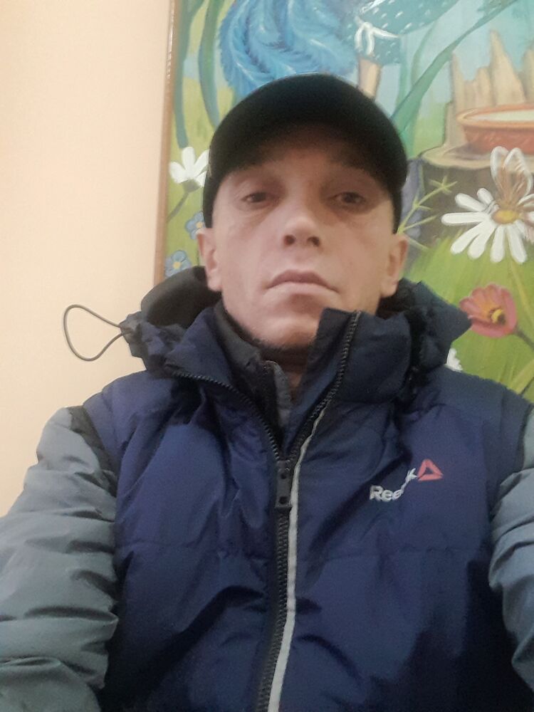  39308866  , 43 ,    