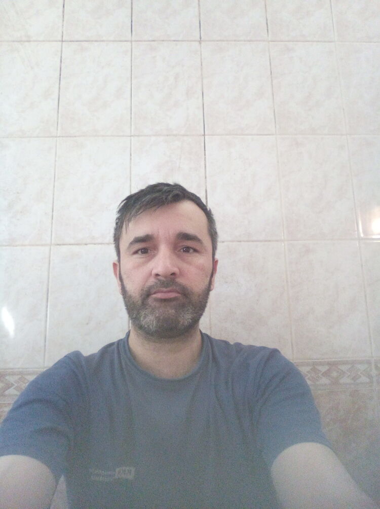  33939496  , 41 ,    