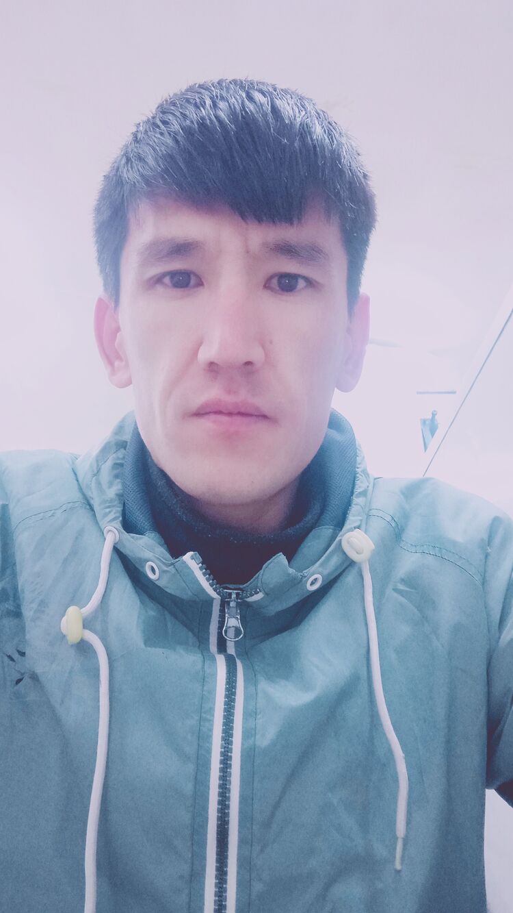 ���� 31098146 ������� ����, 33 ����, ���� ���������� � ��������